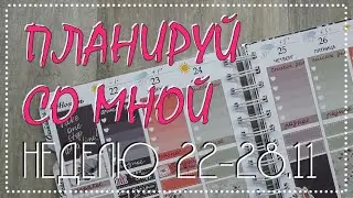 Мой ежедневник: планируй со мной - набор "Инжир"
