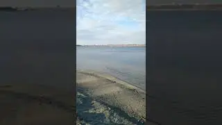 124е августа)