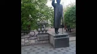 Каштаны Киева