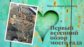 #весеннийсад