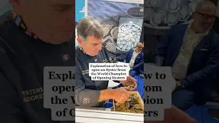 Oysters 101