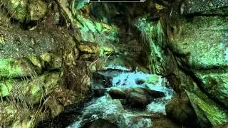Skyrim_Коллегия Бардов(Лютня Финна)