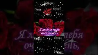 11 сентября 2024 г.