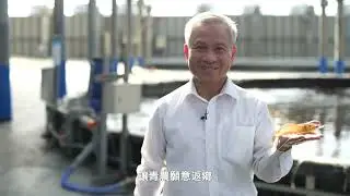 Sustainable future with partners: Delta Energy, Sunnyrich and KingSlide