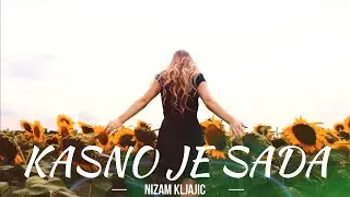 Nizam Kljajic - Kasno je sada