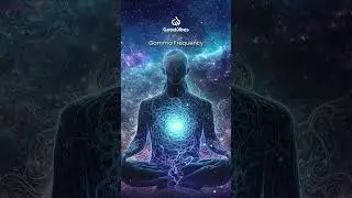 Coding Focus Music: Hyperfocus Music for Programming Concentration
