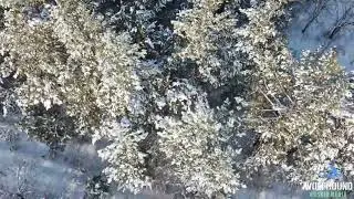 сенгилеевские горы