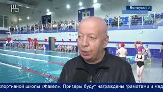 Соревнования по плаванию ФОК 
