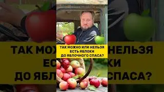 🍏🍎 CAN I EAT APPLES BEFORE APPLE SAVIOR? 