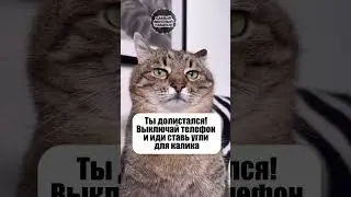 Чего ждёшь? #shisha #юмор #hookahblog #hookah #прикол #nuahule #коты #кальян #мем #лайк