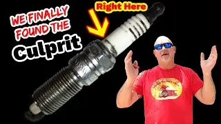 DON'T TRUST YOUR BRAND NEW PARTS, The Shear HORROR of it All LOL!