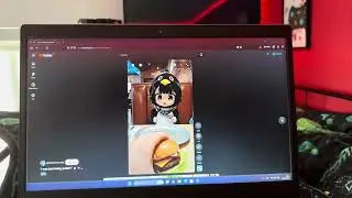 Gugu gaga penguin has BSOD (Windows 11 25H2 Lenovo IdeaPad 3 10th gen) 