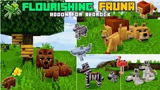 👉🏼NEW ANIMALS ADDON🦁 for 