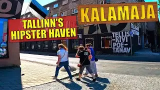 ⭐ Walking a HIPSTER HAVEN in TALLINN, ESTONIA