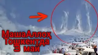 Бугун Тошкент Вилоятида Кутилмаган Мужиза юз берди