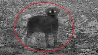10 Of The Most Mysterious Photos That Should Not Exist