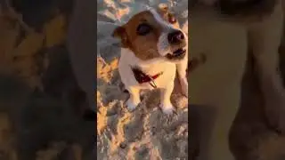 Не плачь, маленький, не плачь…! Тебя все любят и жизнь прекрасна!