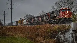 CN 3823 leads CN M337 through Glendale Heights, IL on 11/5/2024!