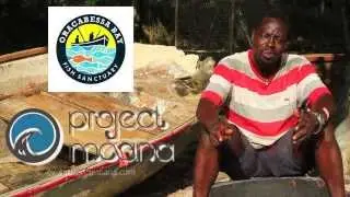 The Coral Gardeners of Oracabessa, Jamaica