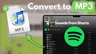 Save Your Spotify Playlists as MP3 Files | Convert Spotify Music to MP3