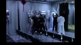 U susret godini Zmije tai chi wing chun beograd