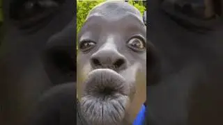 Не целуйся с кем попало!