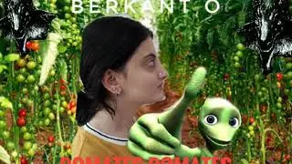Melisa Çakır & Berkant Ö - Domates Cosita (Ah Ah)