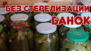 Как засолить огурцы на зиму без стерилизации банок. 