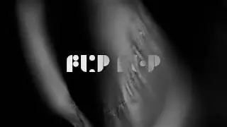 FLIP-FLOP - Damage (Official Video)