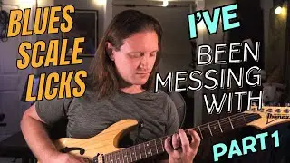 Blues Scale Licks I'm Messing With - Pt. 1 - TAB IN DESCRIPTION