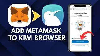 How to Add MetaMask Extension to Kiwi Browser