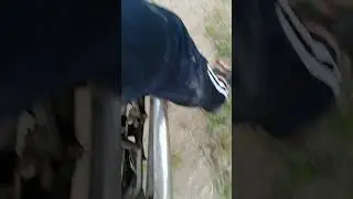звук иж планета 5