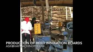 Production of reed insulation boards