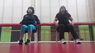 Gimnasia Suave (sentadas)Movilidad articular