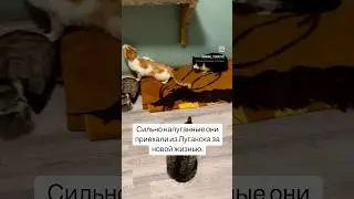 Контакты и реквизиты в комментах👇 