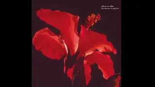 Albert van Abbe - A  Here B  Am C  Hours D