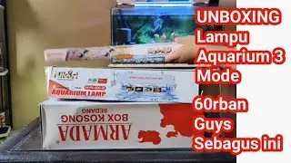 Review Lampu Aquarium 3 Mode