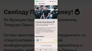 Миссия в поддержку Павла Дурова от кошелька HOT WALLET #freedurov #shorts