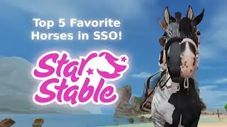 Top 5 Favorite Horses