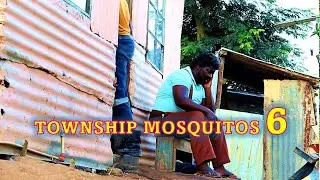 TOWNSHIP MOSQUITOS 6