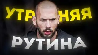 УТРЕННЯЯ РУТИНА ЭНДРЮ ТЕЙТА