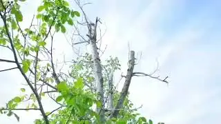 Поп тумани учбулар кишлоги