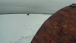Озеро на болоте.