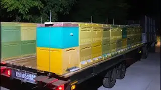 Heading to the apiary: beehive modules in action