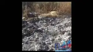 спалили вещи в Уборке