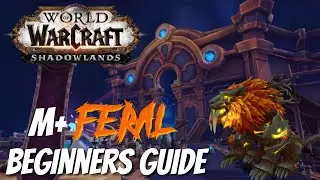 Get KSM as a FERAL Druid: Beginners guide/tips - WOW Shadowlands