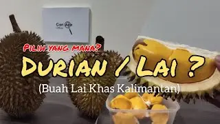 Pilih Durian atau Lai ? || Buah Lai Khas Kalimantan || Makan Durian Tarakan