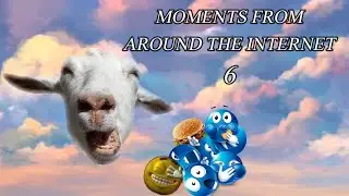 MOMENTS FROM AROUND THE INTERNET 6