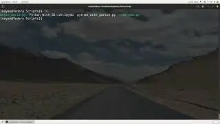 Run Python Scripts with Google Colab  #5