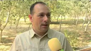 Guillem Chacon - Director del Campus Internacional de la Biodiversitat